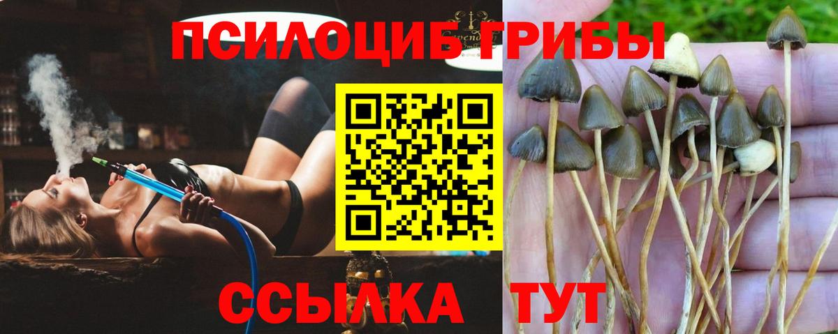 Псилоцибиновые грибы ЛСД Трёхгорный